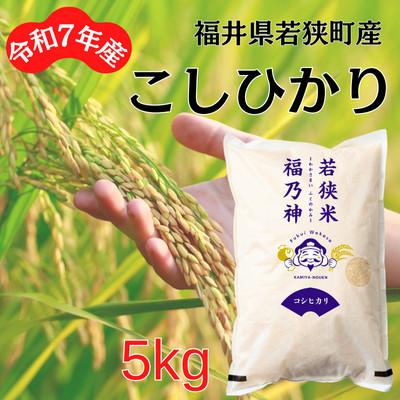 ふるさと納税 若狭町 【令和7年産】福井県若狭町コシヒカリ(1等米/精米)　5kg