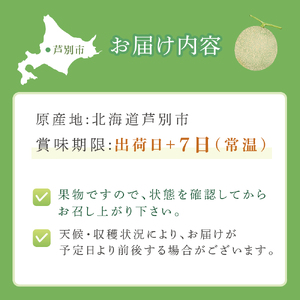 【北海道 芦別メロン】赤肉 メロン 1玉 1.3kg 北海道 芦別市 果物 メロン 甘い ジューシー フルーツ ギフト お中元 