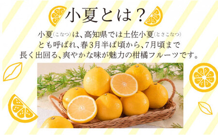 ＜先行予約＞【優品】西内小夏 10kg　N55 [NU-06] 【西内農園】