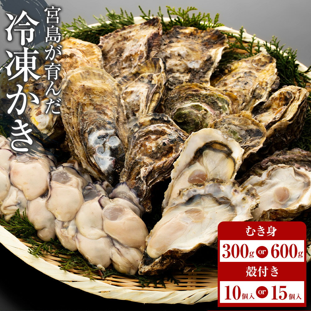【ふるさと納税】【選べる量　加熱用】宮島が育んだ冷凍かき（むき身＋殻付きセット） | 牡蠣 生牡蠣 むき身 広島かき 広島牡蠣 新鮮 旬 広島県 宮島 廿日市市
