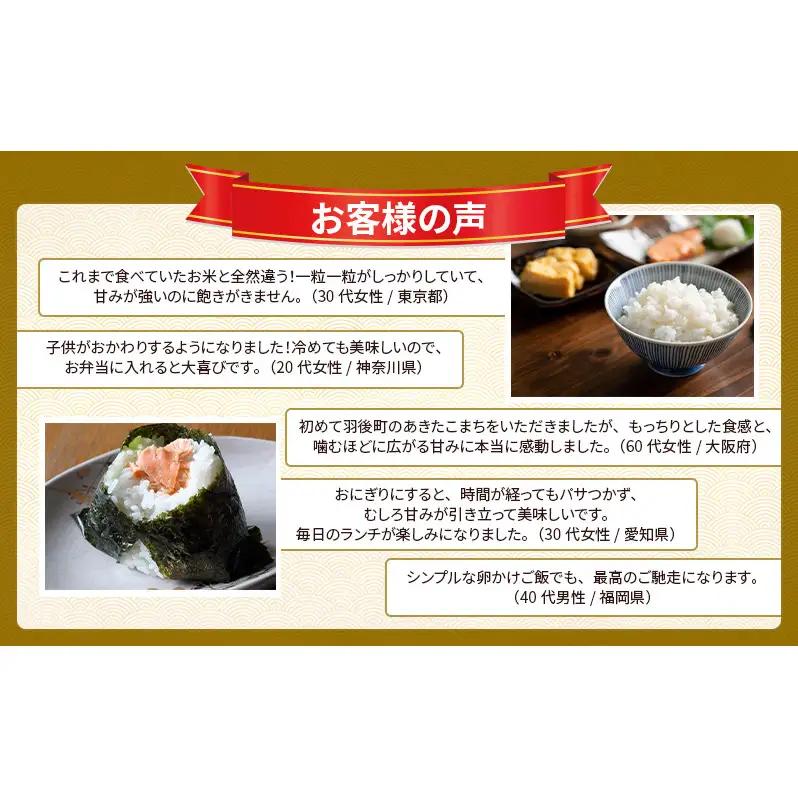 新米 先行予約［令和8年産］定期便 秋田県産 あきたこまち 5kg×1袋 全12回 毎月お届け 羽後町産 [藤原商店]【米 お米 白米 精米 あきたこまち アキタコマチ 美味しい 秋田 羽後】