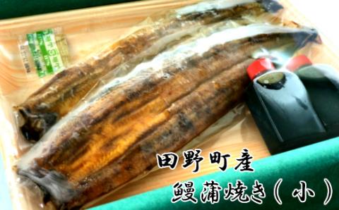 【四国一小さなまち】 田野町産 うなぎ蒲焼き ２本（小）