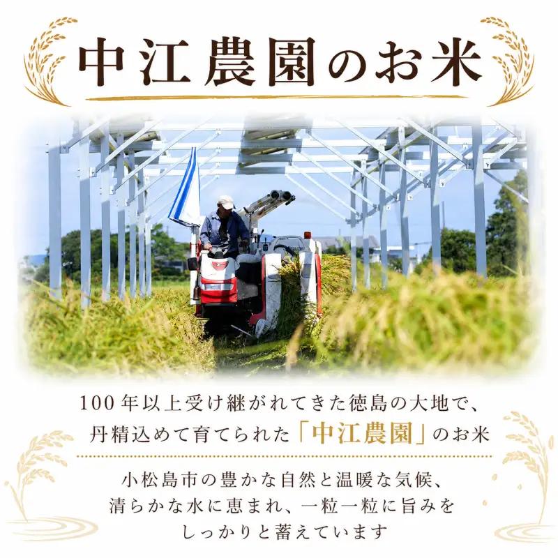 令和7年産 コシヒカリ 5kg 白米 米 数量 限定 こしひかり 5キロ 米5kg おにぎり