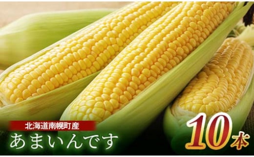 《先行受付》令和7年発送 北海道産 とうもろこし あまいんです10本  朝採れ 一番果 産地直送 数量限定 期間限定 NP1-176