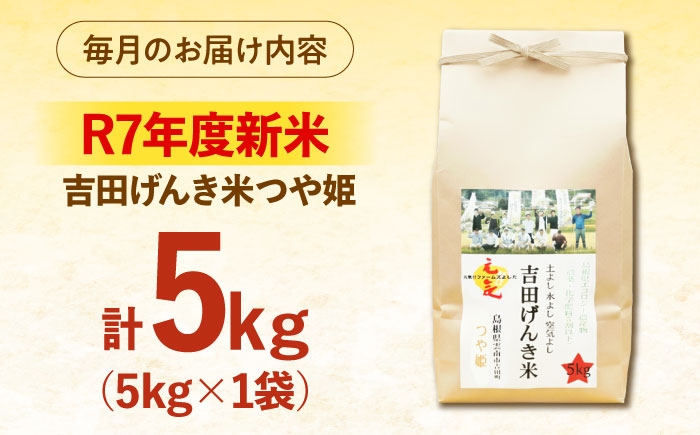 白米 おこめ げんき米 新米 定期便 つや姫 ごはん お弁当 国産 おいしい 
