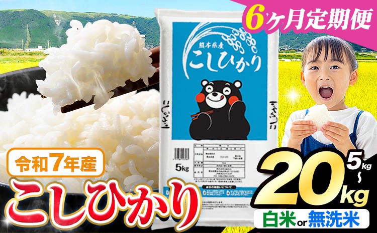 
                  【6ヶ月定期便】令和7年産  無洗米 も選べる こしひかり 5kg 10kg  20kg 定期便 も選べる《お申込みの翌月出荷》熊本県産 ふるさと納税 無洗米 白米 精米 ひの 米 こめ ふるさとのうぜい コシヒカリ コメ お米 おこめ
                