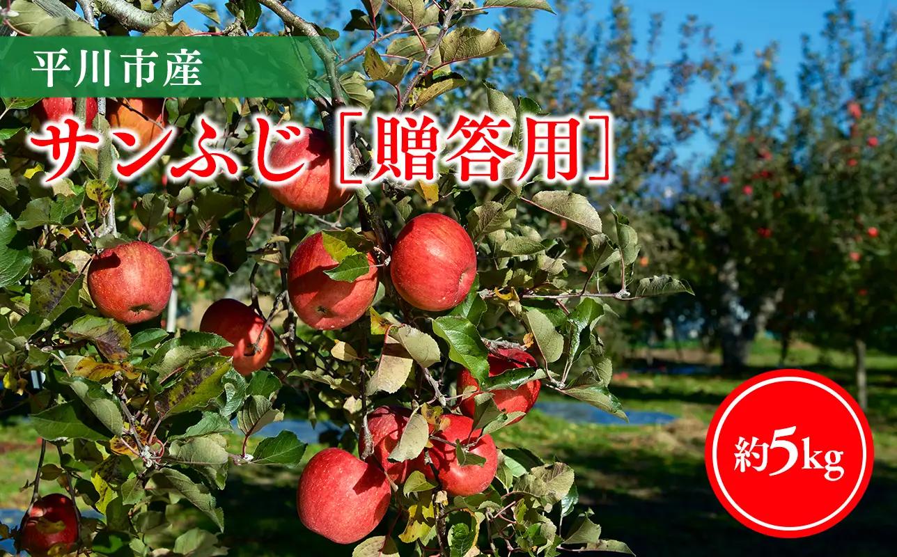 【11月下旬～順次発送】贈答用サンふじ5kg【今井農園】≪hi-0064-009≫