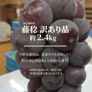 【きよとうファーム】訳あり 種なし ボッケーネ(藤稔) 約2.4kg (岡山県産)【配送不可地域：離島】【1632754】
