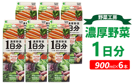 野菜工房 濃厚野菜1日 6分本 ｜  _DT13