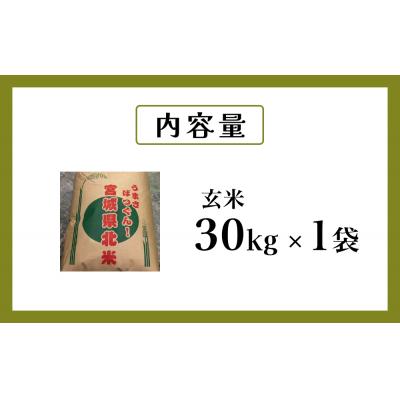 ふるさと納税 石巻市 米 令和7年度産 ササニシキ 玄米 30kg お米 ごはん ご飯 単一銘柄米 家庭用 |  | 02