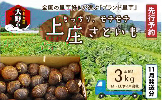 【先行予約】【11月発送分】満天☆上庄産さといも3kg 日本一の味をめざし、有機肥料配合、減農薬栽培の「独自栽培」で作る里芋