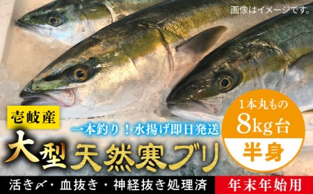 【11/1～1/15お届け 年末年始用】壱岐島産天然寒ブリ（一本丸ものサイズ8キロ台 半身ブロック）《壱岐市》【壱岐島 玄海屋】 [JBS103] 117000 117000円  コダワリブリ・ぶり こだわりブリ・ぶり おすすめブリ・ぶり おススメブリ・ぶり 人気ブリ・ぶり 定番ブリ・ぶり 通販ブリ・ぶり お取り寄せブリ・ぶり 自宅用ブリ・ぶり 贈答ブリ・ぶり