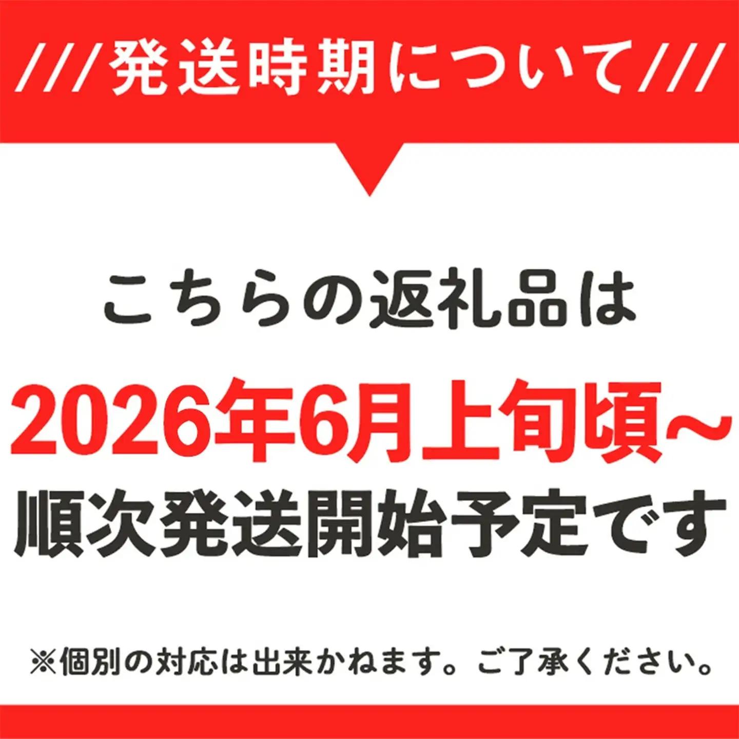 すいか スイカ 大玉 約6～7kg×2玉 令和8年産