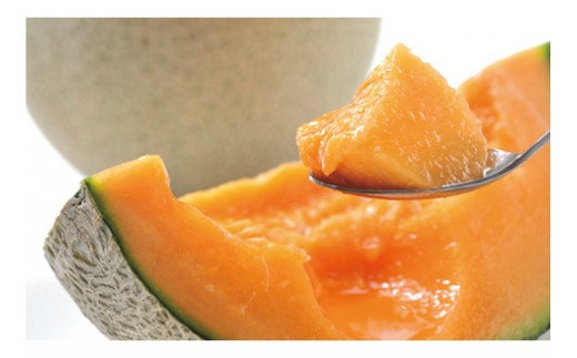 【道の駅ニセコビュープラザ直売所厳選定期便】北海道ニセコ町産農産物頒布（年間4回発送）＜2026年予約＞