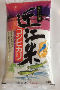 【新米】【6年産】近江米こしひかり【5kg×1袋】【T019U】（米 コメ こめ 新米 6年産 白米 はくまい ごはん ご飯 精米 こしひかり コシヒカリ 先行 予約 近江米 5キロ 5kg）