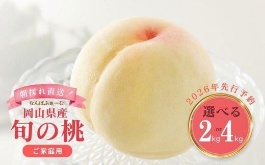 
            ＜選べる容量＞＜数量限定＞［なんばふぁーむ］岡山県産 旬の桃［ご家庭用］2.0kg（5～9玉）or 4.0kg（11～14玉）【2026年発送】
          