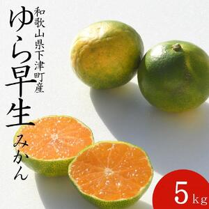 ゆら早生みかん 小玉2S・3S 秀 5kg ｜和歌山県産 甘みと酸味が美味しい人気の旬果物を産地直送｜ ゆら早生みかん 温州 ２S 3S［Mg23］