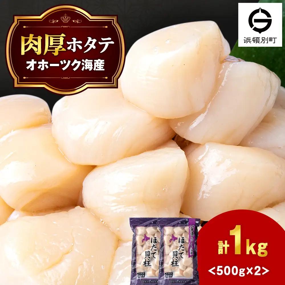 ほたて 貝柱 冷凍 大粒 冷凍 500ｇ(20～25粒前後)×2パック 《横田水産》