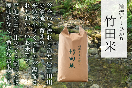 【先行予約】【令和7年産・新米】 【6ヶ月連続お届け】清流こしひかり 竹田米 10kg × 6回 計60kg （玄米） 【2025年9月下旬以降順次発送予定】 【米 お米 こめ 精米 コシヒカリ ブラ