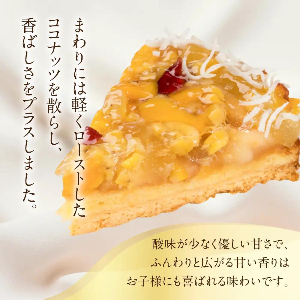 【夏季限定】タカバヤシのサマードライフルーツのタルト 15cm径【23-13】