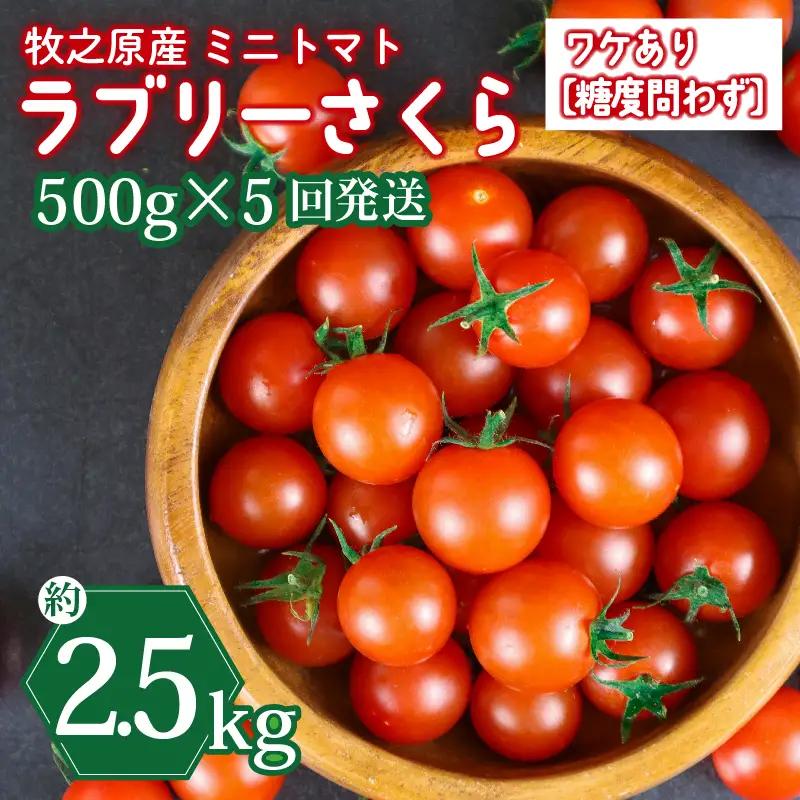 ミニトマト 2.5kg (500g×5回) 訳あり 定期便 【ミニトマト】 山本農園