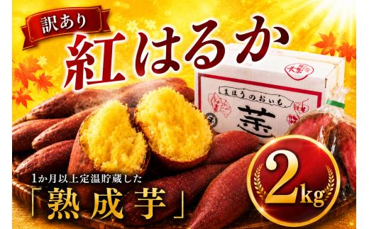 訳あり 紅はるか 約 2kg さつまいも 訳アリ 訳有 サツマイモ 薩摩芋 さつま芋 べにはるか ベニハルカ スイーツ 甘芋 スイートポテト sweet potato 不揃い 生芋 芋 イモ 旬 野菜 糖度 熟成 秋野菜 秋の味覚 おやつ 産地直送 農家直送 千葉 香取 ナチュラルファームイトウ ITO005
