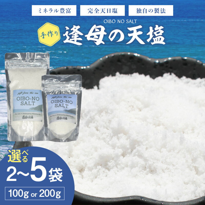 【ふるさと納税】手作り天然塩【逢母の天塩】100g 200g 2パック 5パック