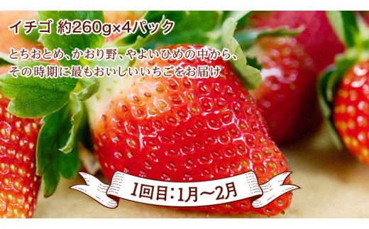 《 2027年 1月上旬開始 》全4回 定期便 贅沢 フルーツ 満喫コース KEK 国産 トマト フルーツトマト スイカ いちご メロン くだもの 果実 春 夏 秋 冬 特選 厳選 アド街ック天国 ア