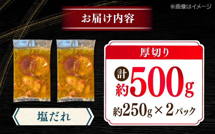 厚切り 牛タン 塩だれ 約250g×2パック 計約500g  小分け 個包装 味付け タレ たれ 高知県 お肉 牛肉 贅沢 焼き肉 BBQ バーベキュー 訳あり わけあり 【焼肉寛十郎】 [ATDO0