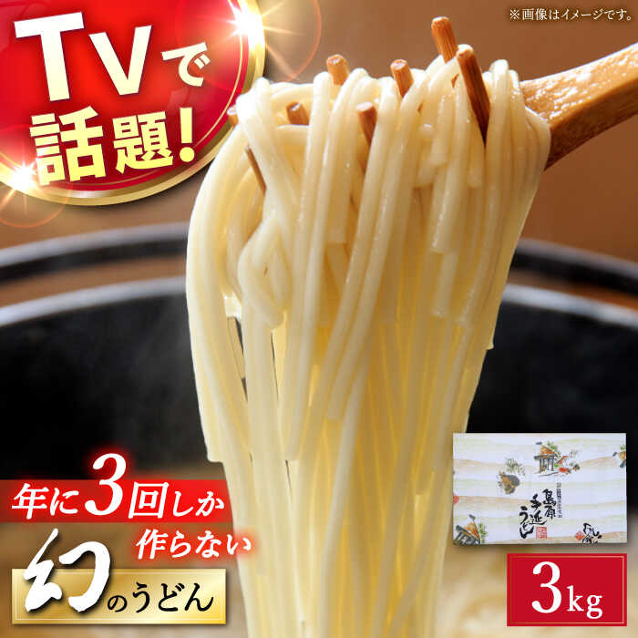【ふるさと納税】【お歳暮対象】【年に3回しか作らない】幻の うどん 3kg / 麺 乾麺 / 南島原市 / 宮崎製麺所 [SDN006]