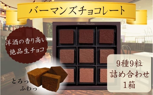生チョコレート９種９粒詰め合わせ （バーマンズ） チョコ 生チョコ とろける デザート 駄菓子 高級 ギフト お礼の品 クリスマス バレンタイン お中元 故郷納税 詰め合わせ お取り寄せ グルメ 奈良県 奈良市 なら nara  7-014