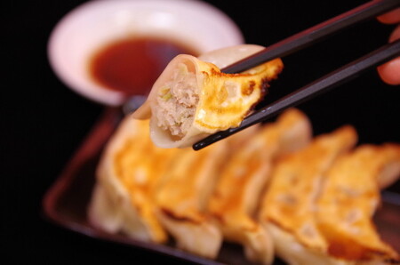 肉餃子 24個入り×1箱（480g）