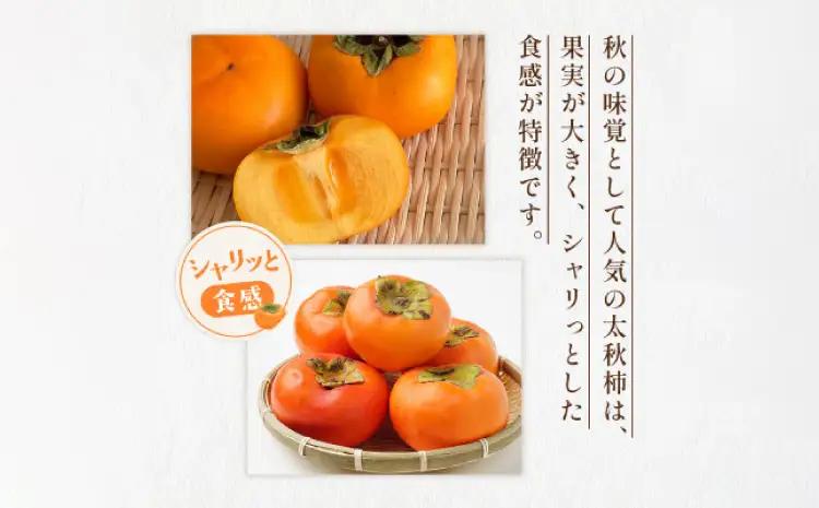 先行予約 柿 太秋柿 3kg くまふる宇城