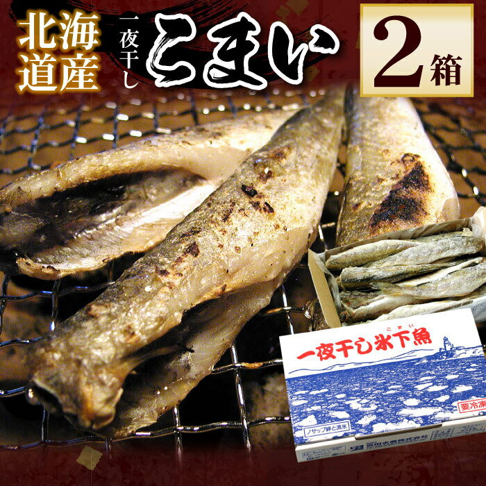 【ふるさと納税】【12月21日決済確定分まで年内配送】 一夜干こまい 500g × 2P コマイ 氷下魚 カンカイ さかな 魚 サカナ 干物 珍味 おつまみ 北海道 根室市 ふるさと納税