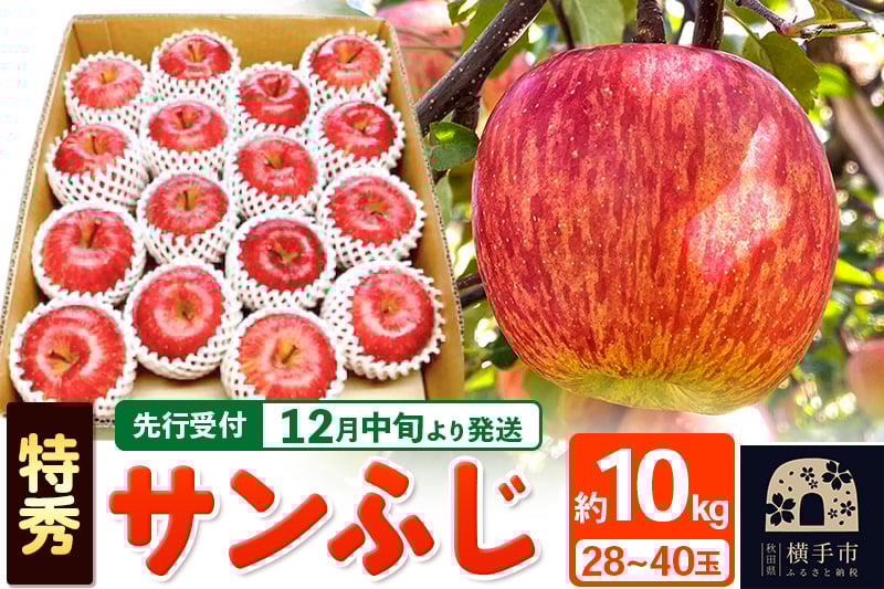 
            【先行受付】12月中旬より発送 サンふじ 【特秀】 約10kg（28～40玉）りんご 林檎
          