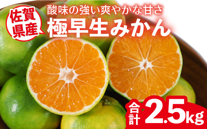 
                  【10月以降順次発送】佐賀県産 極早生みかん 約2.5kg　2S～2Lサイズ　 [FBT040]
                