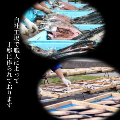 ふるさと納税 南知多町 【南知多町・美浜町共通返礼品】魚太郎名物【とろさば】入り・自家製ひもの5種おまかせセット |  | 01