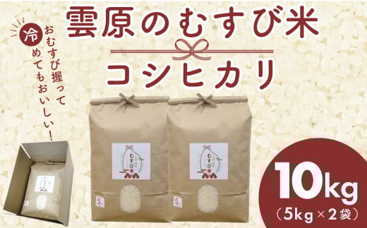 令和7年産 雲原のむすび米 コシヒカリ10kg（5kg×2袋）  / FCEP002