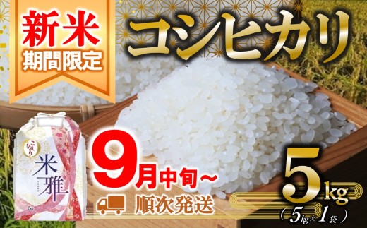 【新米先行予約】新米 コシヒカリ 5kg 白米【9月中旬～順次発送】令和７年産（14.5-1） 精米 直前精米 新米 化学肥料不使用 有機米 お米 こめ コメ こしひかり 人気 兵庫県産 精米