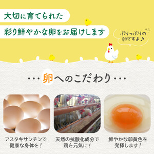 おおえだファーム アスタキサンチン卵（白）Lサイズ 60個入り 卵