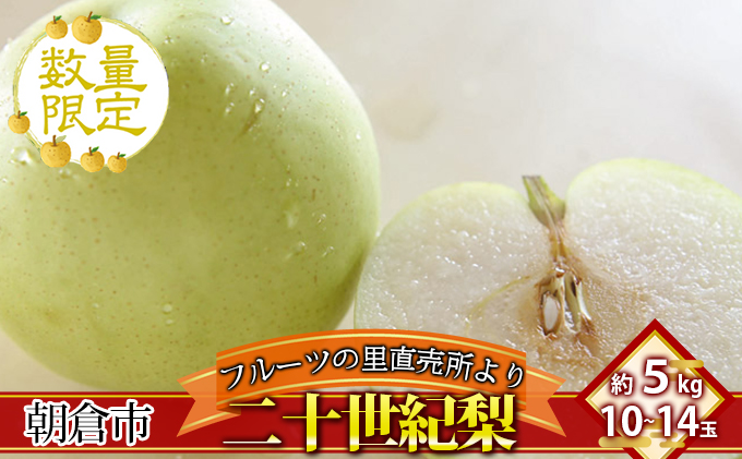 フルーツの里の直売所より 二十世紀梨 5kg ナシ 果物 先行予約 
