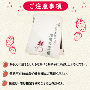 植物系有機肥料のいちご 瑠璃の宝箱 計500g(250g×2P) 《2026年2月～5月発送》 先行受付 いちご いちご
