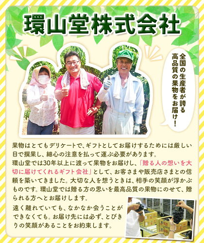 【2026年先行予約】桃 もも 岡山白桃 4玉 約1kg 岡山県産 環山堂株式会社《2026年7月上旬-8月上旬頃出荷》岡山県 浅口市 白桃 果物 フルーツ 送料無料st-p