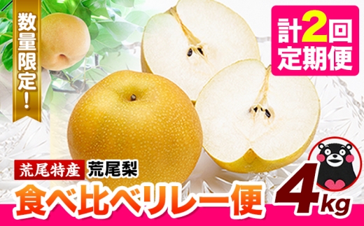 梨 荒尾梨 食べ比べリレー便 4kg 定期便 品種 なし フルーツ 果物 旬 《2026年8月下旬‐11月中旬頃出荷》熊本県 荒尾市 旬の梨 幸水 秋麗 豊水 あきづき 新高 など 合計8種のいずれか（品種指定不可）ジュース