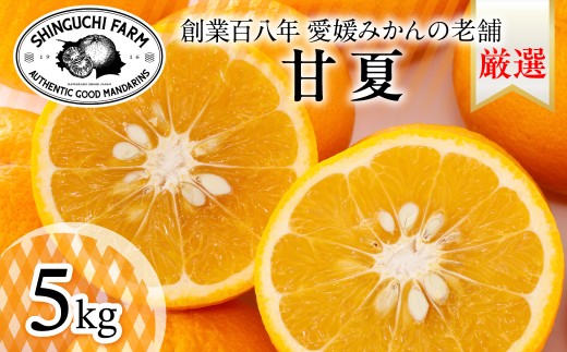 ＜木成り完熟＞甘夏 5kg 『ほのかな苦味とスッキリした甘み』＜C70-26＞_みかん ミカン 甘夏 あまなつ 甘夏みかん 柑橘 果物 フルーツ えひめ 愛媛県 八幡浜市 送料無料【1470662】 YWTK026