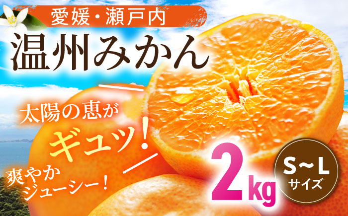 【11月中旬より順次発送】瀬戸内のめぐみたっぷり！温州みかん（S~Lサイズ）2kg　愛媛県大洲市/沢井青果有限会社 [AGBN046]  温州みかん みかん 果物 ミカン フルーツ