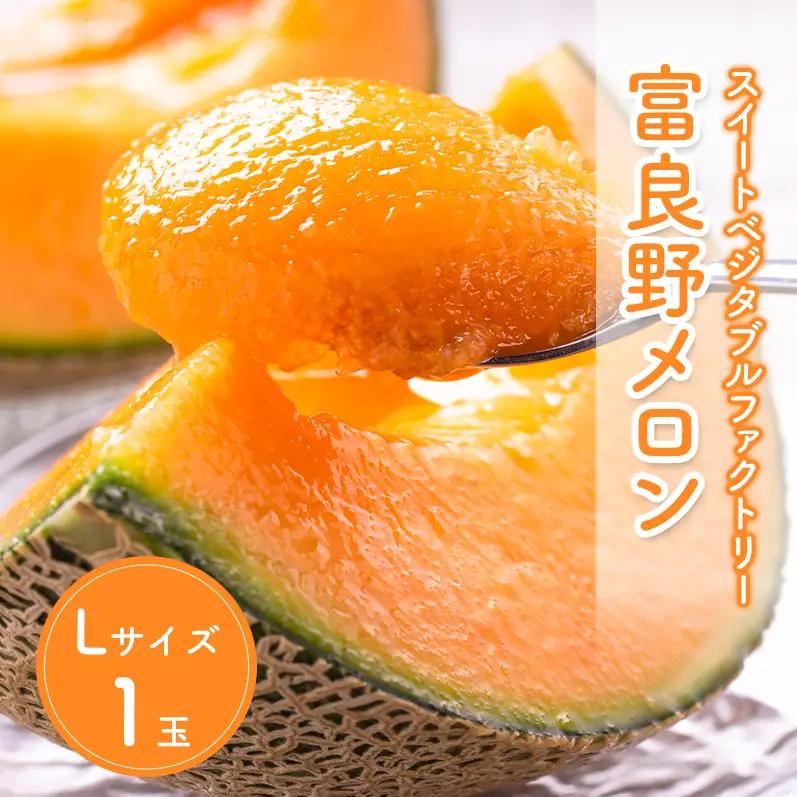 【数量限定！】北海道 富良野 メロン Lサイズ 1.3kg以上×1玉 フルーツ 果物