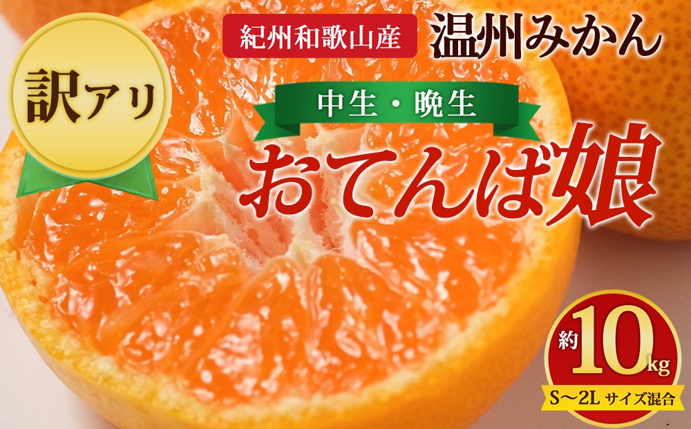 
                  【先行予約】【訳あり】紀州和歌山産 温州みかん「おてんば娘」約10kg（箱込み）S～2L サイズ混合（中生・晩生）
                