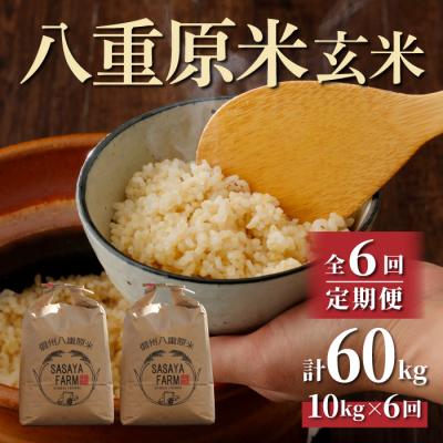 ふるさと納税 東御市 令和7年新米受付【6回定期便】八重原米10kg(5kg×2)玄米※2025年10月以降発送|笹屋農園