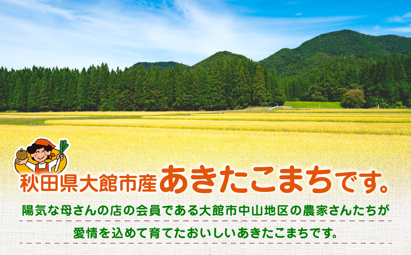 【令和8年産】あきたこまち10kg　3カ月定期便　270P009004-03-10【陽気な母さんの店】